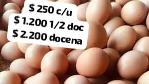 Huevos