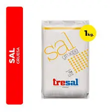 Sal gruesa
